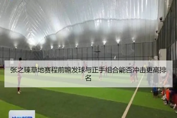 张之臻草地赛程前瞻发球与正手组合能否冲击更高排名（NG app）