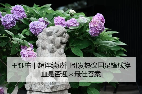 王钰栋中超连续破门引发热议国足锋线换血是否迎来最佳答案（NG app）